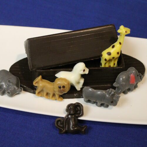 Chocolate Ark