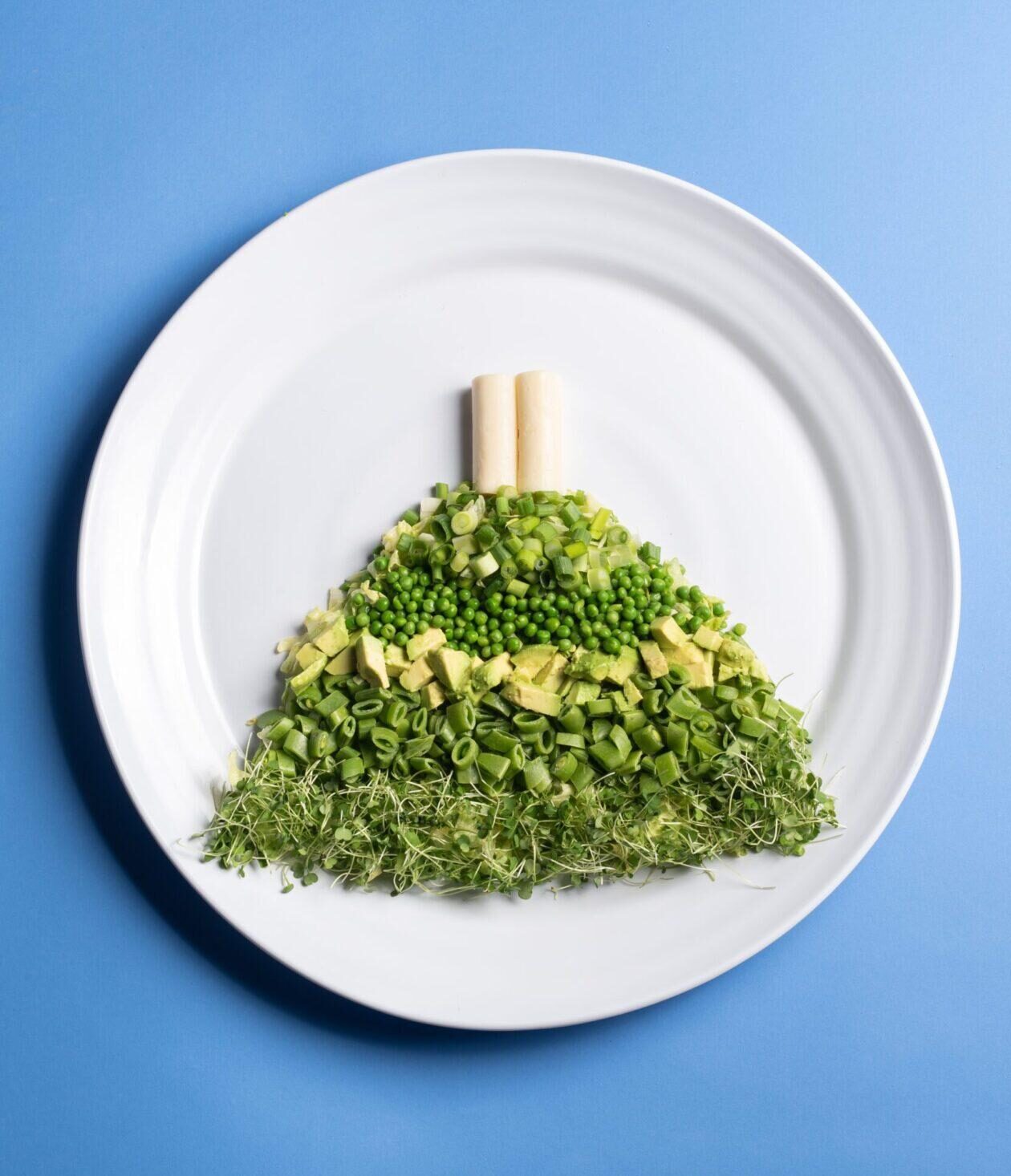 Salad Har Sinai