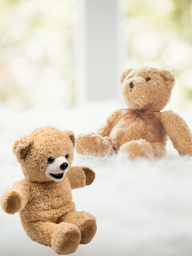 DIY Build a bear party