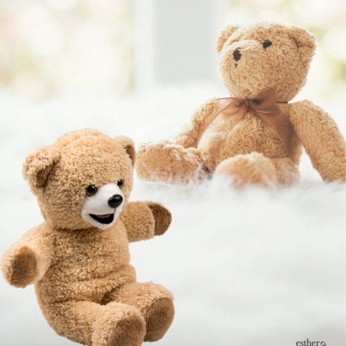 DIY Build a bear party
